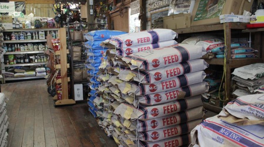 Choosing a POS System for Your Feed Store